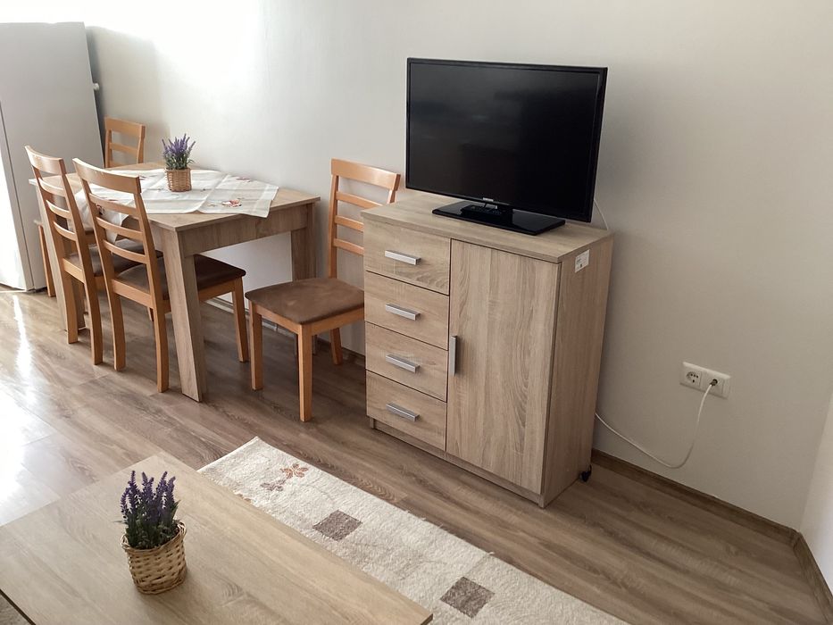 Apartament cu o cameră, Turnisor, Frunzei