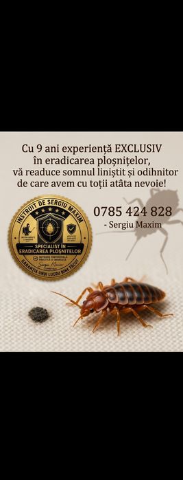 Ploșnite dezinsectie deratizare plosnite de pat