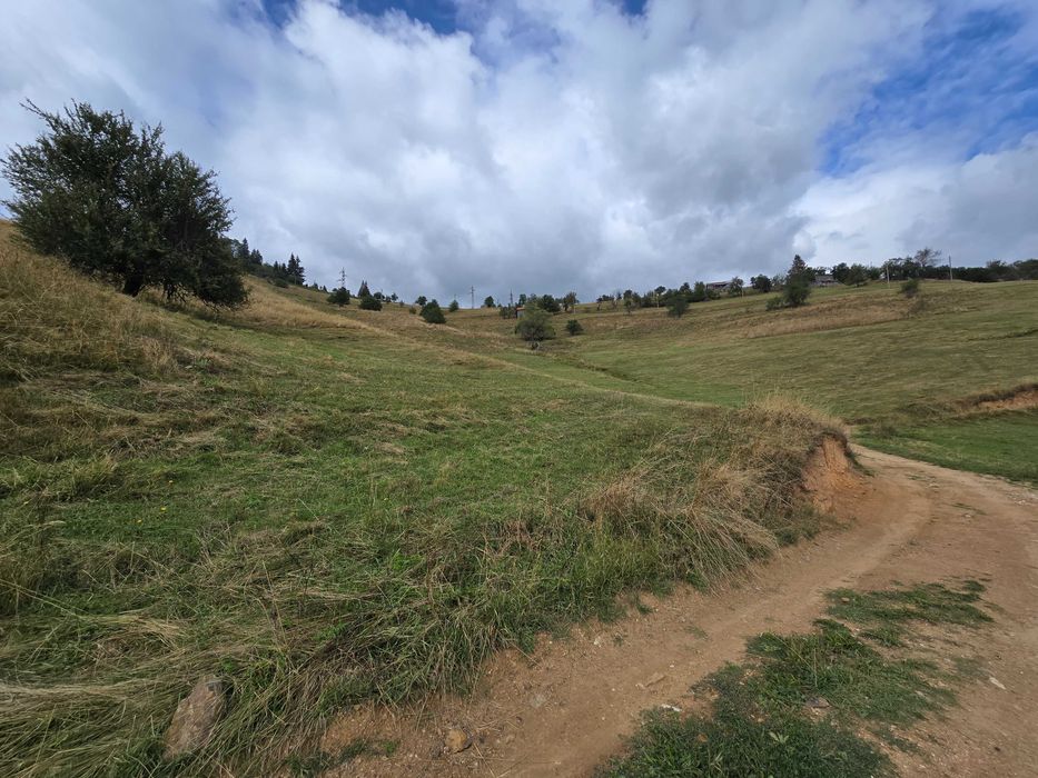 Продавам парцел УПИ 3000кв.м. в село Проглед, общ.Чепеларе