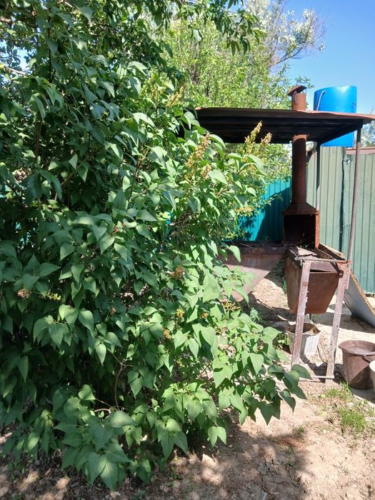 Продажа жилой дачи