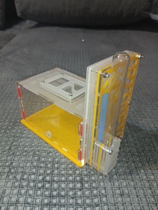 Муравьиная ферма, формикарий