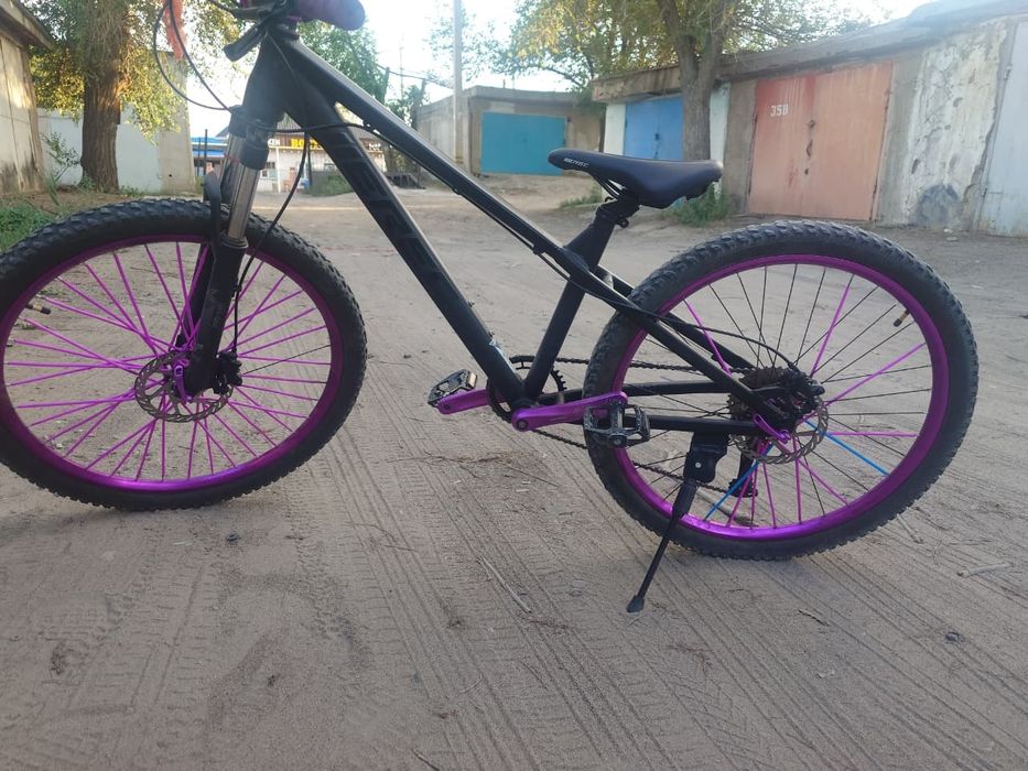 Велосипед IIEREC L 100