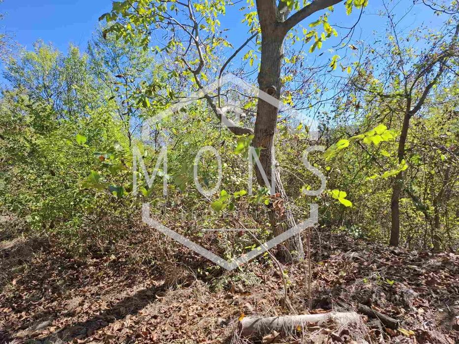 Продава се Парцел в с. Присово, Област Велико Търново - 1350 кв.м за 17 €/кв.м - Снимка #5