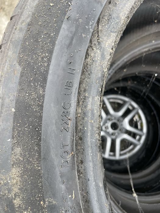 Caucicuri vara 20”