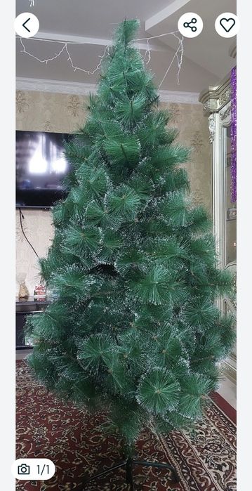 Продаю елку китайскую.