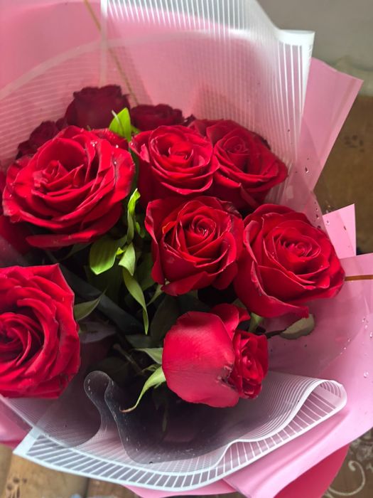 Бүгінгі свежый гул!