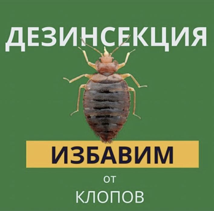 Дезинфекция Костанай! Уничтожение ТАРАКАНОВ И КЛОПОВ с гарантией ...