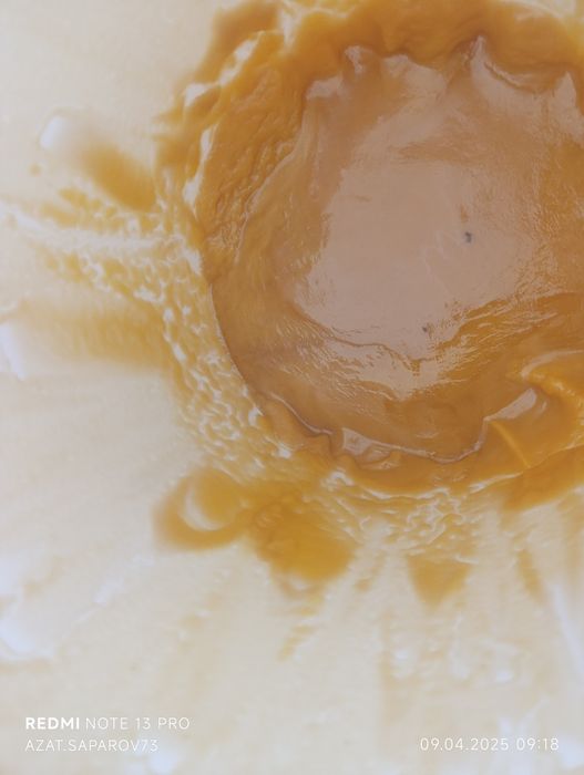 Мёд разнотравье и подсолнуха