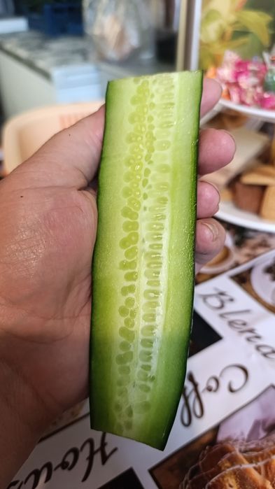 Продам домашние огурцы