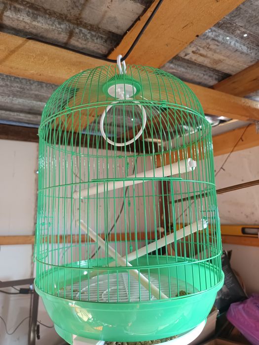 Disponibil colivie aproape noua preț 100 lei