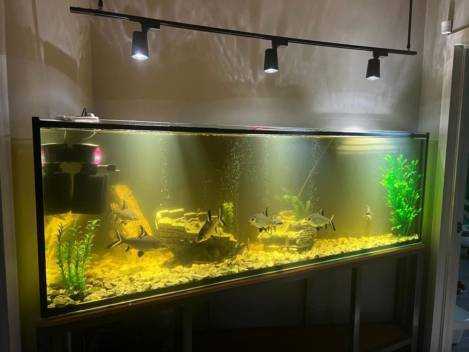 Аквариум для рыб