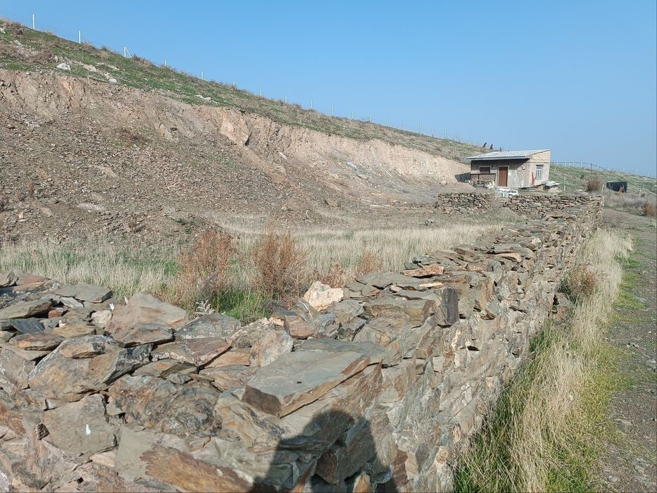 Жиззах Навруз булок