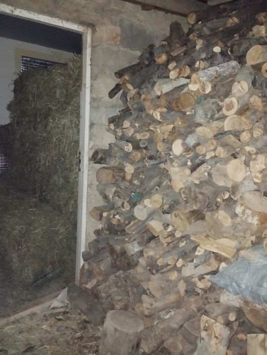 Oʻtin sotiladi dastafka toshken boʻylab