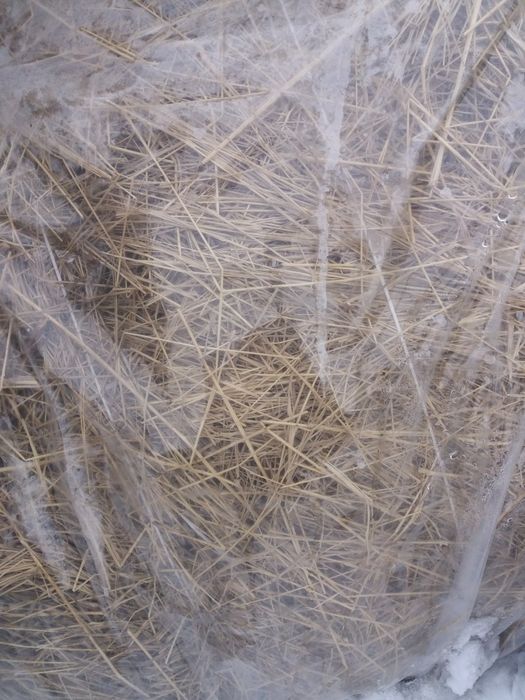 Сено в рулонах разнотравье