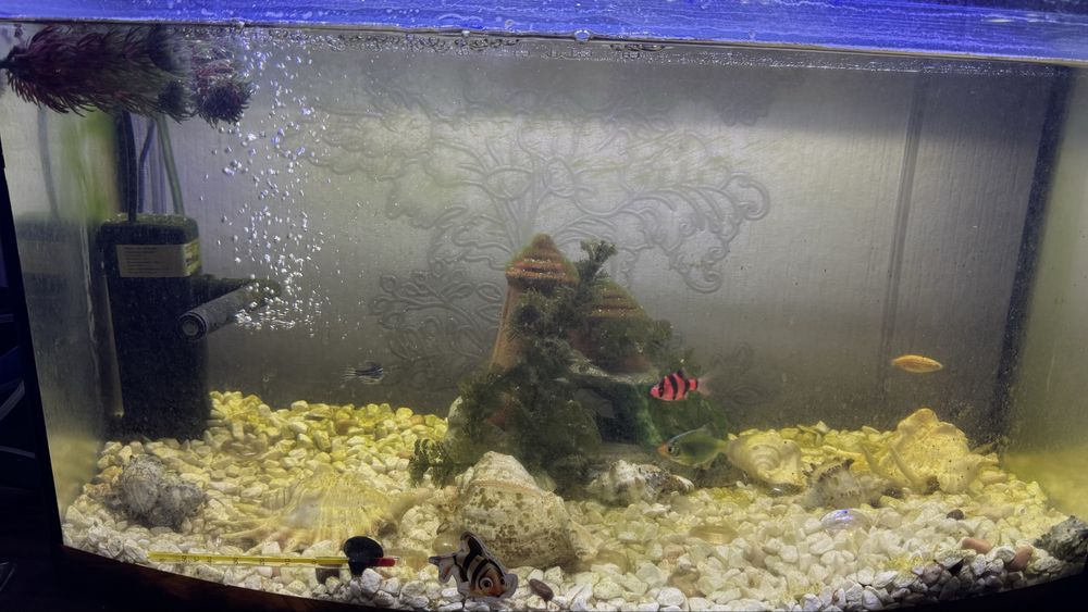 Продам аквариум