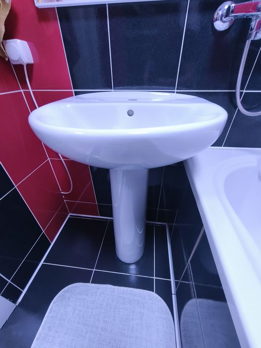 Раковина тюльпан