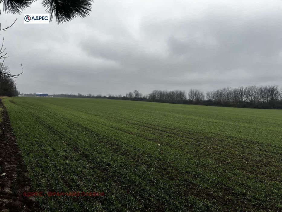 Парцел в Плевен, област-с.Ясен площ 21610 цена 64830