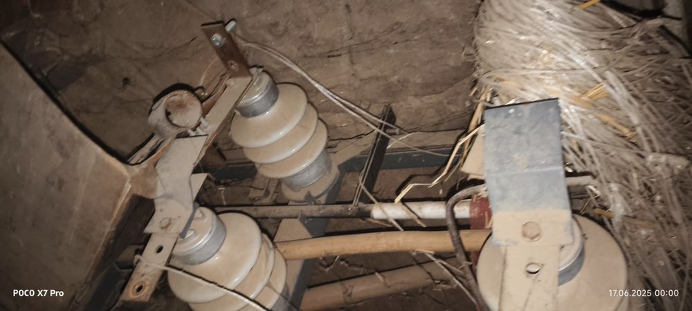 Rubilnik visoki  ajratib qushuvchi