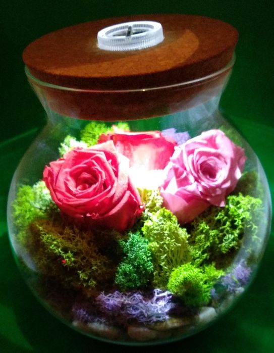 Флорариум ручной работы.