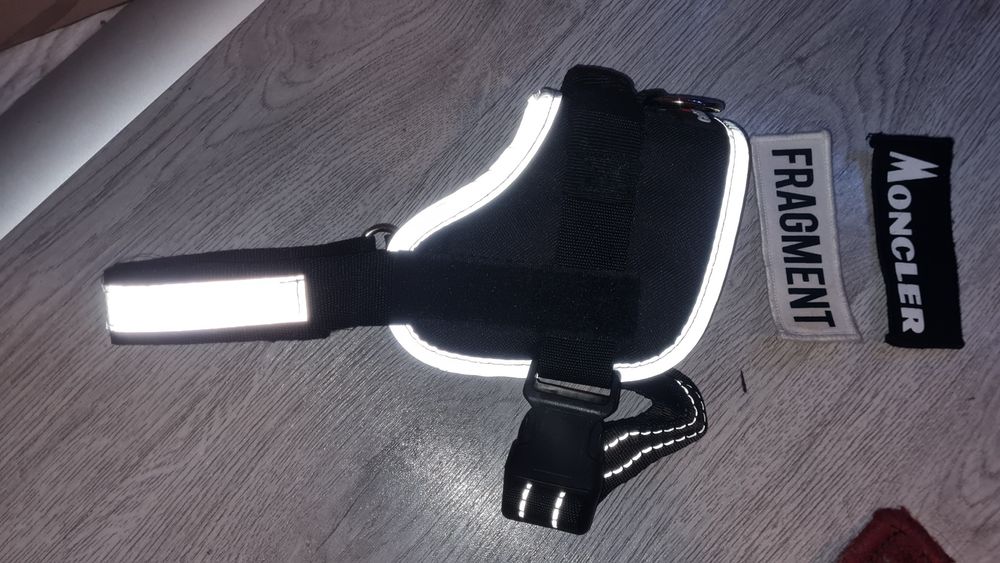 Нагръдник за куче Carinura /М/