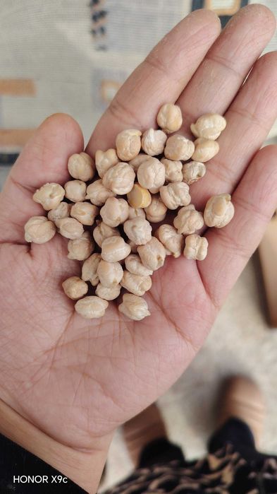 ERON No'xot sotiladi Dehqonchilik narxi 22 000 dan