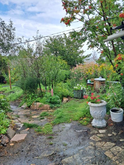 Продам уютный дом у леса ,