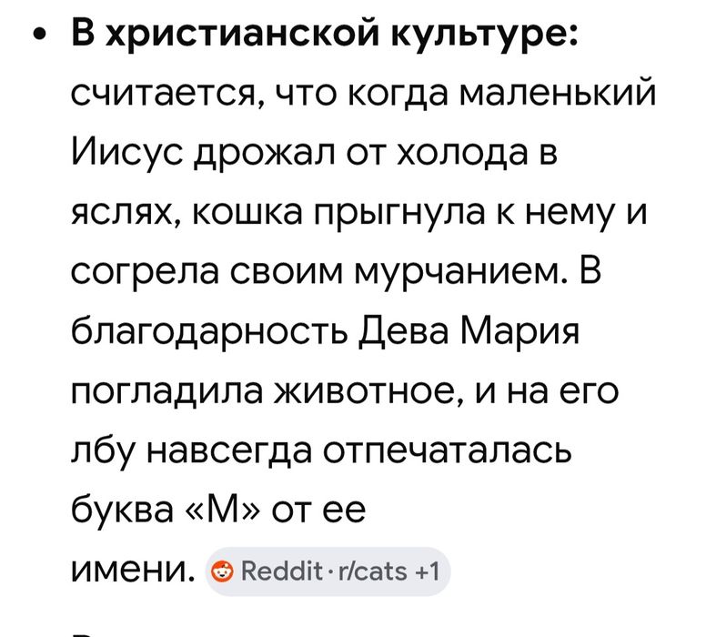 Котенок мальчик красавчик
