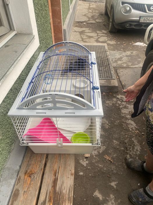 Продам клетку для домашних питомцев!