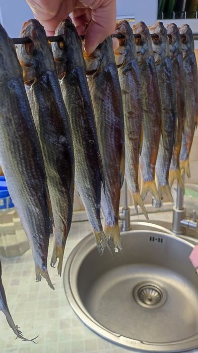 Рыбец вяленый жирный