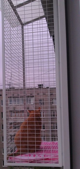 Балкон для кошек