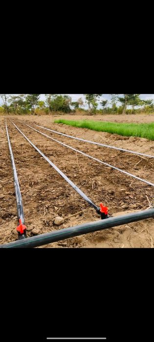 Paxta ekinlari uchun, maxsus tomchilatib suğorish lentalari sotiladi.