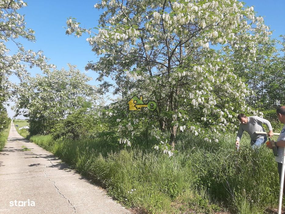 Teren Extravilan, Dealu Viilor, Lugoj