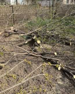 Продам Дрова, самовывоз