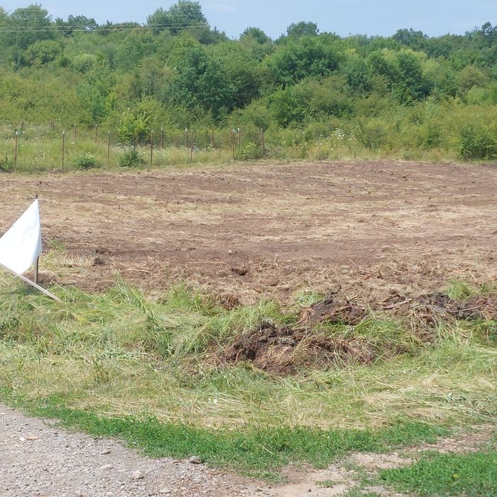 Teren de vanzare Livezeni