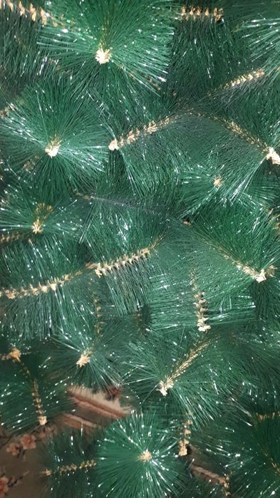 Ёлка жағдайы жақсы