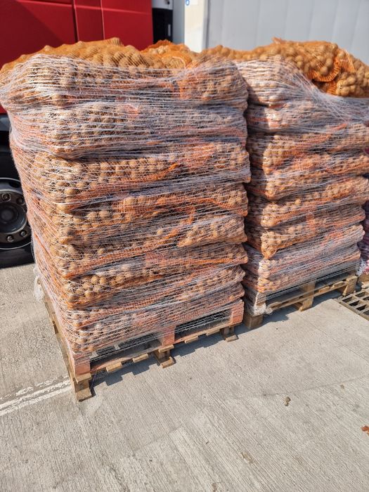 vand cartofi de samanta covasna