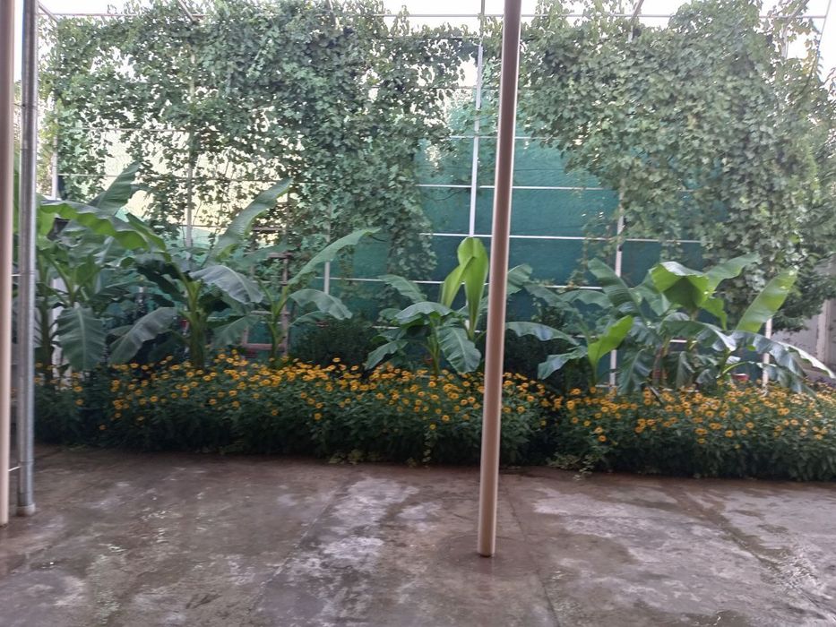 5 хонали уй сотилади.