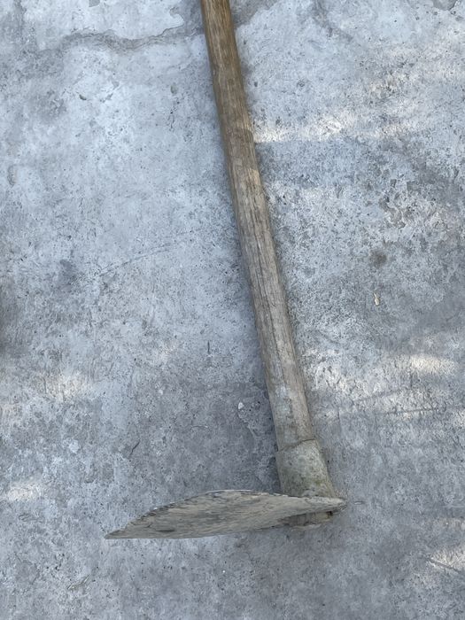 Ketmon sotiladi