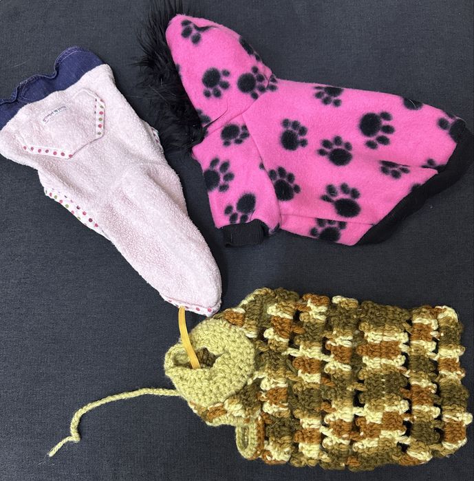 Продам одежду для вашего питомца