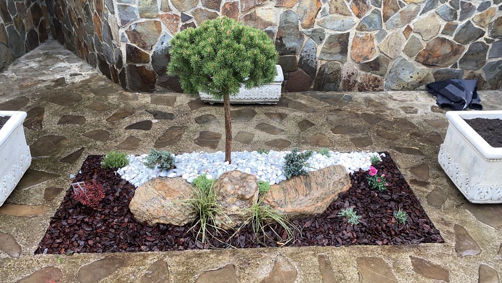 Totul in grădina ta