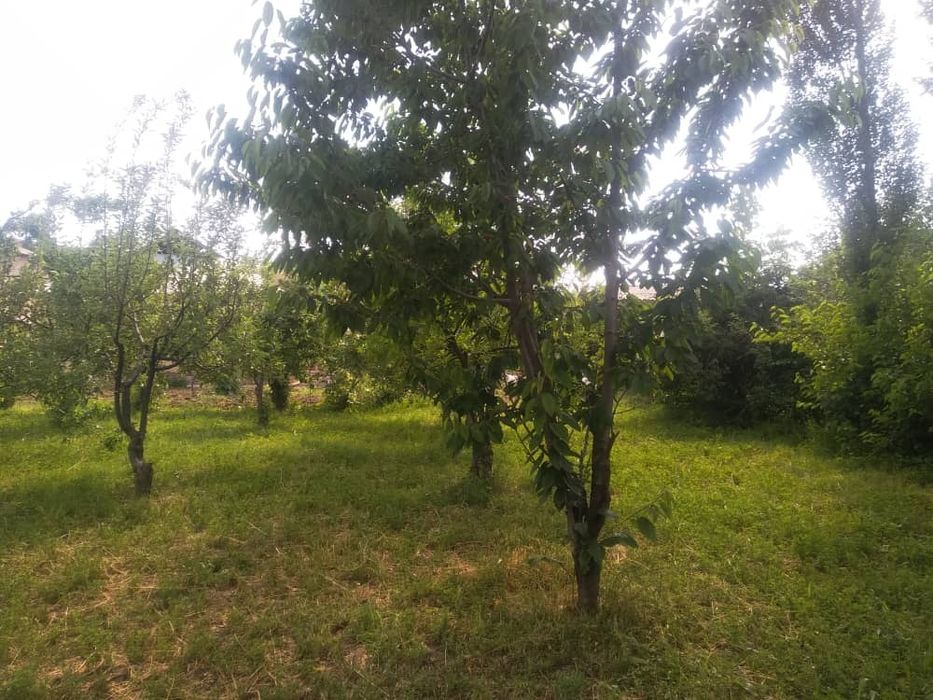 Уй сотилади.дача килса булади.под бизнес