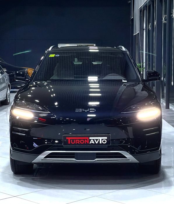 BYD champion 2025 SMART+