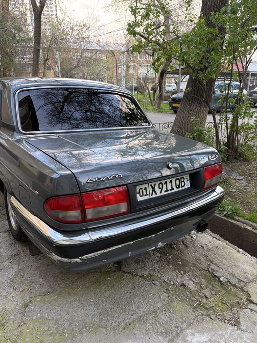 Волга Газ 3110 Динго 406 Змз Плитка Инжектор