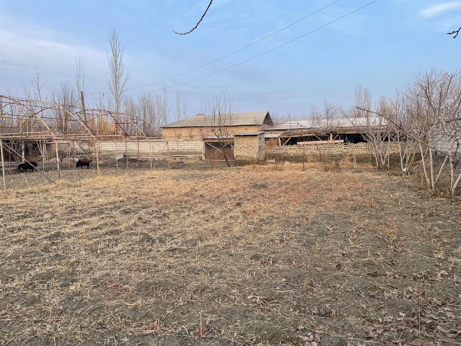 Окжарда ховлининг 10 сотих кисми сотилади.