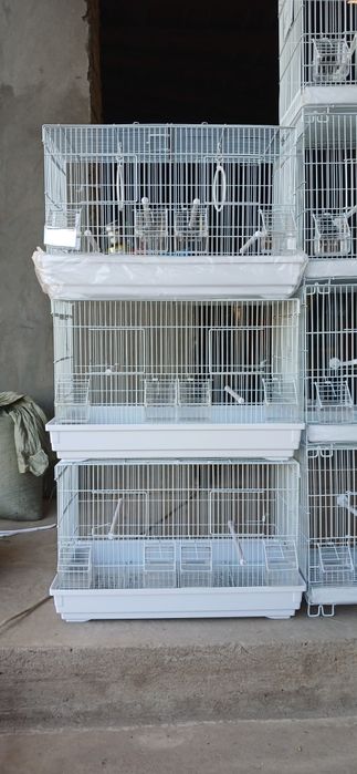 Клетки для разных птиц