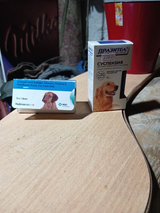 Продам щенков немецкой овчарки