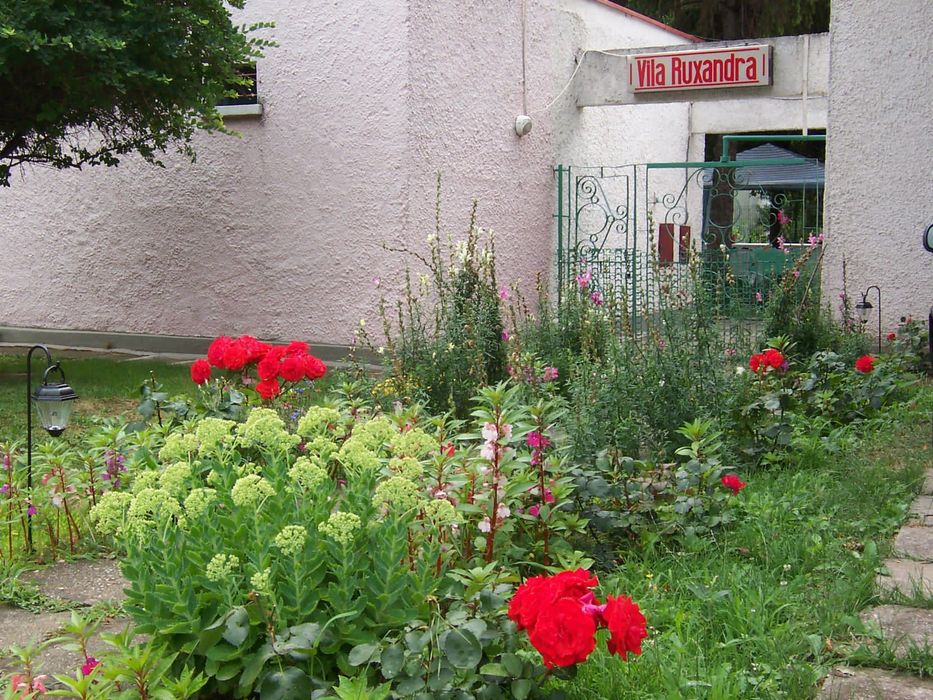 Vila in Statiunea Venus,          
 Imobil/afacere de vânzare in centrul statiunii și aproape de plajă.