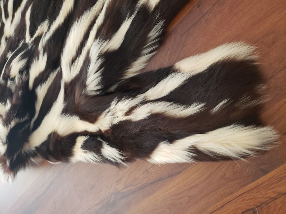 Haina blana naturala sconcs noua