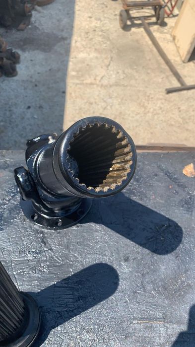 Culisanta 8 gauri raba