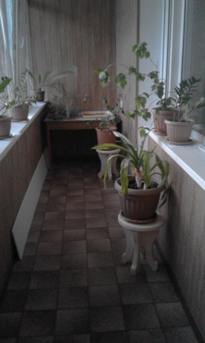 Продам дом срочно